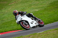Middle_Group_White_Bikes